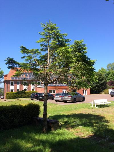 Boardinghouse Georgsheil