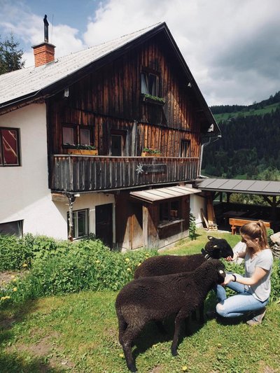 Zauneralm
