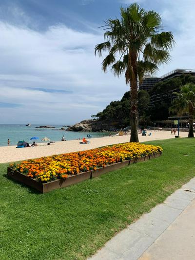 Apartamento en Torre Valentina, la mejor playa!