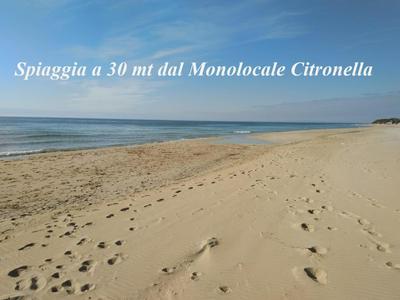 Monolocale Citronella a due passi dal mare