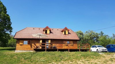 Pet friendly cabin with amazing view