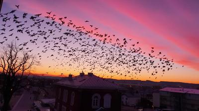 Parkhotel Pfarrkirchen