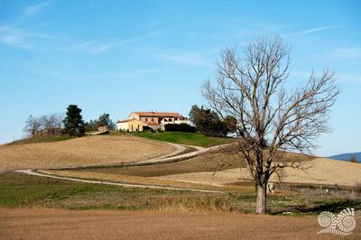 Poggio alla Pietra 26