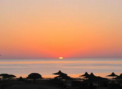 Estudio, Playa de Denia