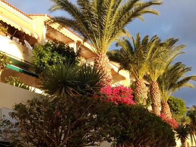 Paradis