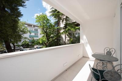 Lions apartment