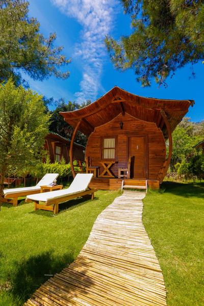 Green Pine Bungalows & Beach Luxury Concept