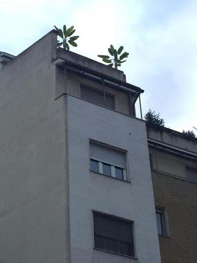 Attico Lux Turin