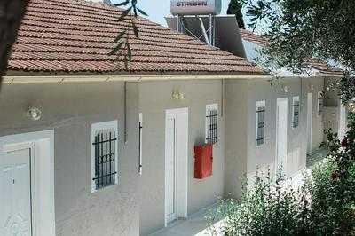 Olive Grove Poolside Apartments