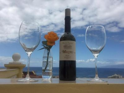 Magnific Las Americas view apartment