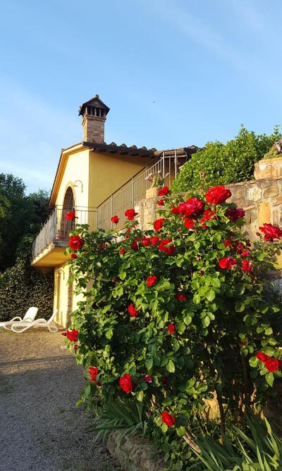 Sunset Hill - Tuscany - Villa & private Pool