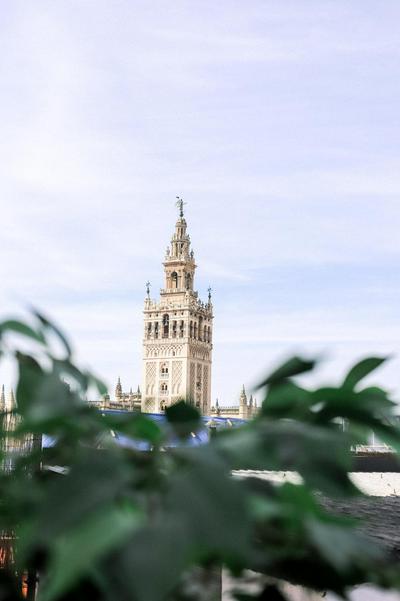 Alohamundi Catedral