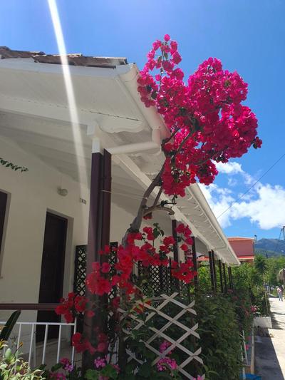 Daglas Seaside Studios