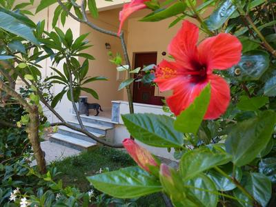 Avgi Garden House Chania with private entrance