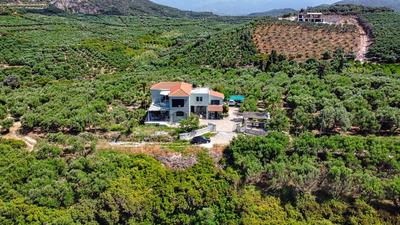 Venizelos Studios
