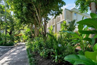 Port Douglas Apartments - Adults Only Oasis