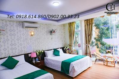 catba island hostel