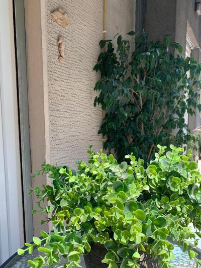 Renovated cozy apartment near to Acropolis
