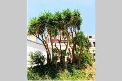 Ionian Stylish Apartment Preveza Marina