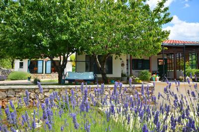 Holiday Home, Villa Bozic
