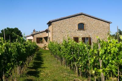 B&B Vallecupa