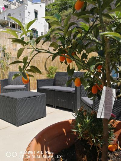 Amalfi Small Wonder Tiny Town House