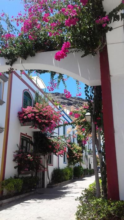Harbour n 233 Playa de Mogan by El Sirocco