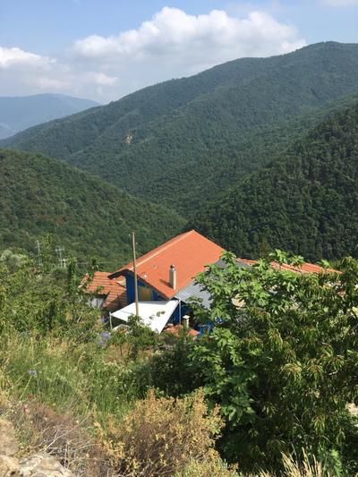 Rural house