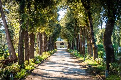 Villa Ortensia D'Avalos