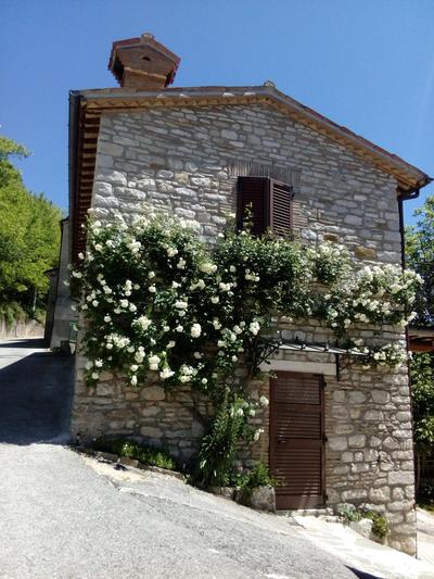 Bed & Breakfast SENTIERO 54