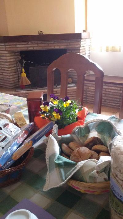 Agriturismo l'Oasi