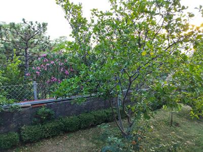 Apartment with private garden and terrace