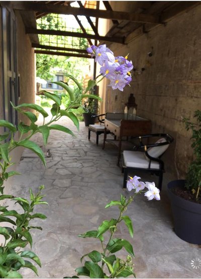 Un jardin en ville