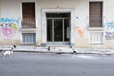 Charming Rooftop Nest with awesome Acropolis view Downtown Athens