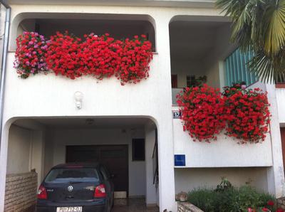 Apartman Ornela