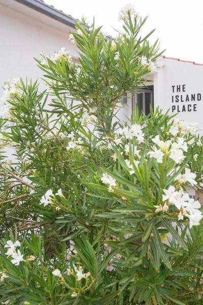 The Island Place