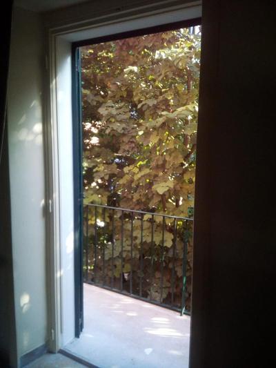 Lilium Lecce Centro