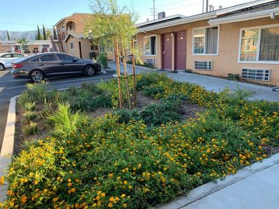 Desert Inn Motel, Billede 2