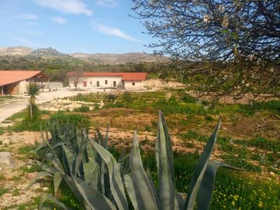 Agriturismo PALMERI