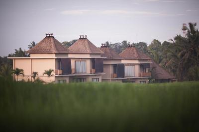 Manyi Village Ubud