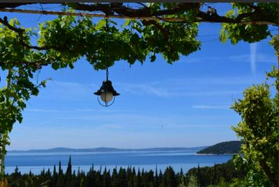 Mediterranean House - Forest Marjan