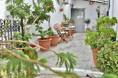 Grandmas Guest House