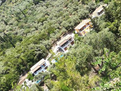 AGIOS NIKITAS DOLPHINS