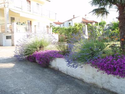 Guest House Jasmin