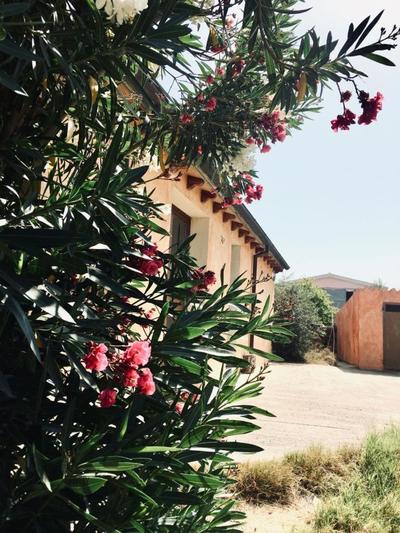 Agriturismo Funtan'Arva