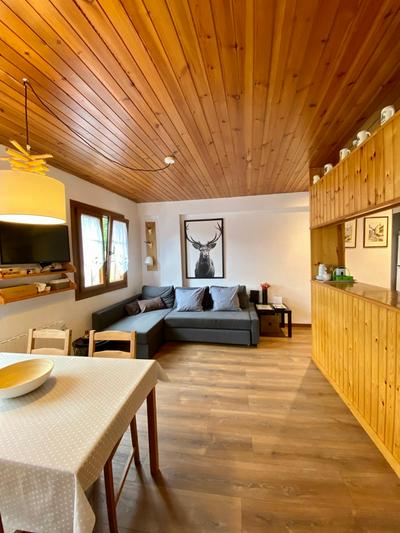 Fantastic Very Bright Apartment in the Heart of Vielha