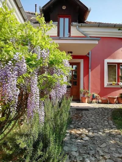Villa Holiday Home Kuća za odmor Slavonka