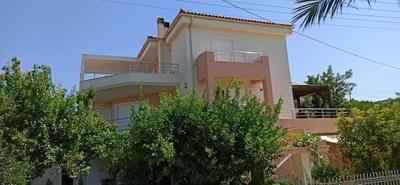 House,1000m from beach