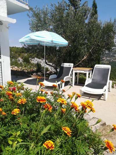 Apartman ORLOVAC