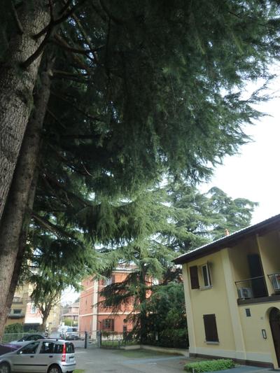 IL GIARDINETTO - Smart working - Airport - Private Parking - Private garden - Ducati - Philip Morris